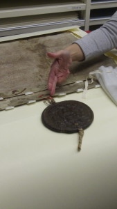 A Royal Charter with attached seal